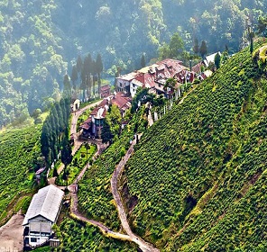Darjeeling-cropped1