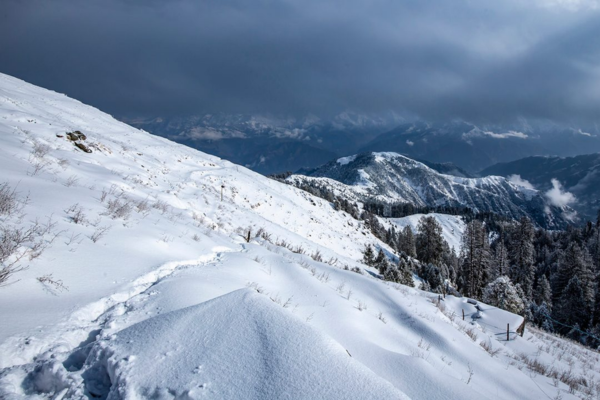 Dalhousie