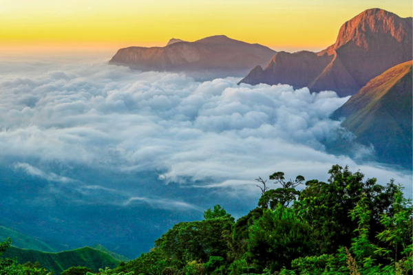 Munnar kerela